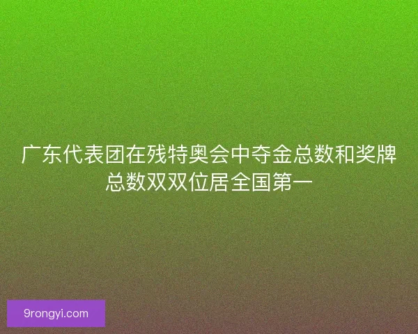 广东代表团在残特奥会中夺金总数和奖牌总数双双位居全国第一
